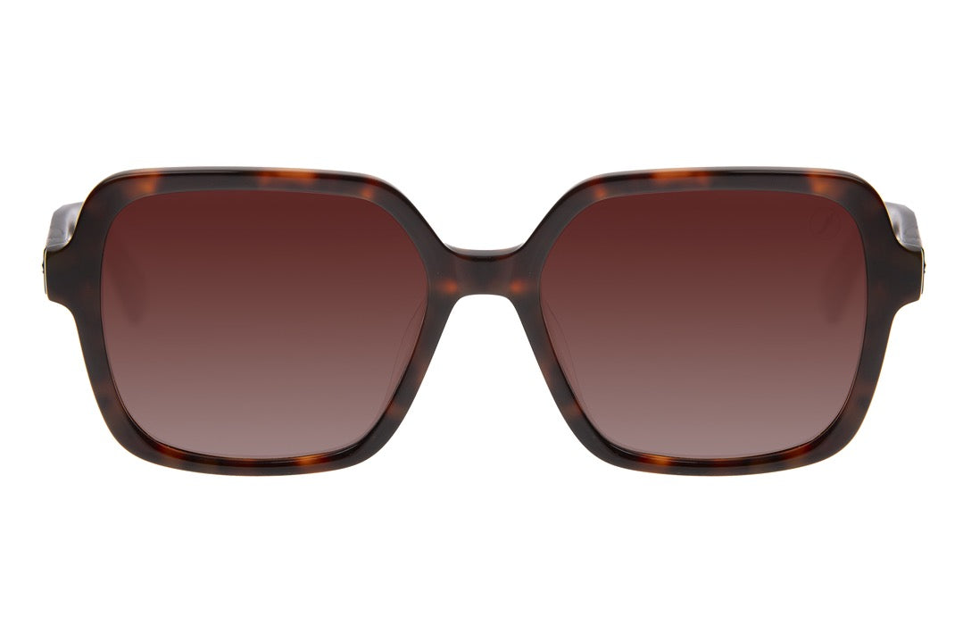 OCULOS UNISSEX HARRY POTTER TARTARUGA OCCL4304