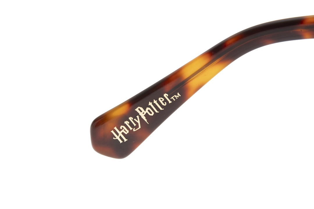 OCULOS UNISSEX HARRY POTTER TARTARUGA OCCL4304
