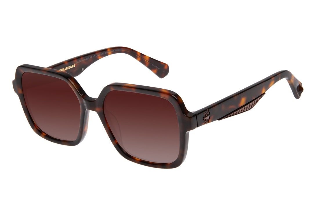 OCULOS UNISSEX HARRY POTTER TARTARUGA OCCL4304