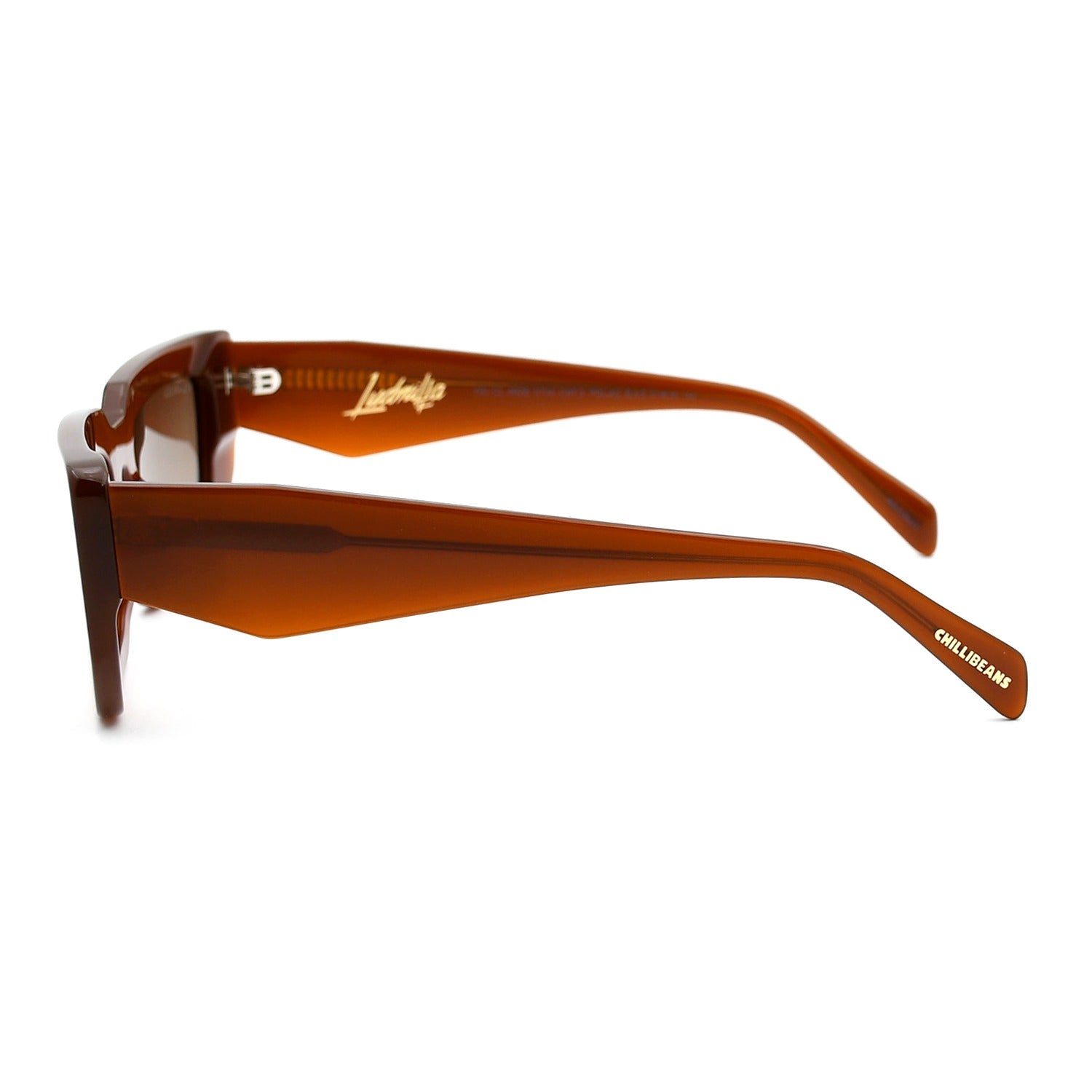 OCULOS LUDMILLA 2025 FEMININO MARROM ACETATO OCCL4926