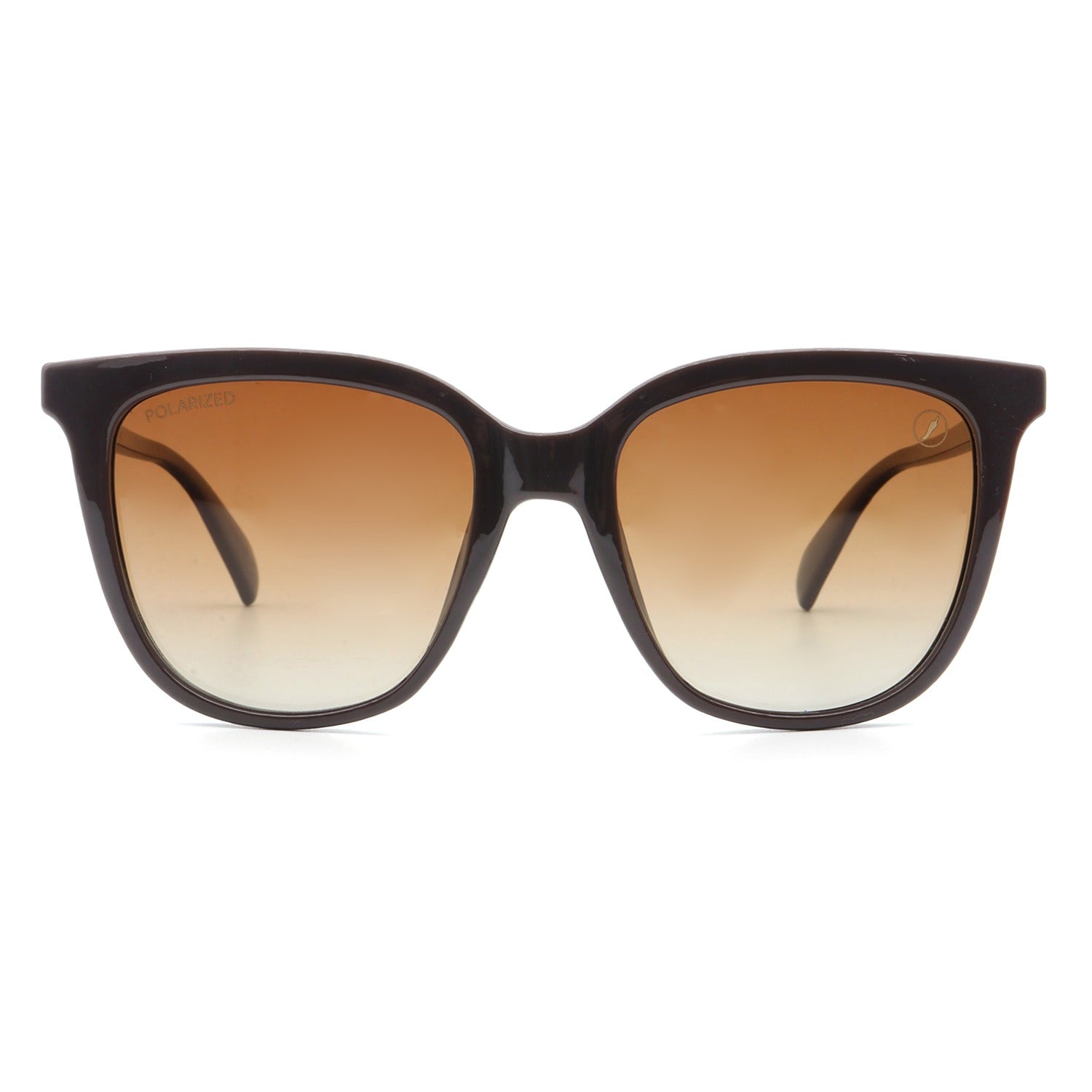 OCULOS P1 SAZONAL MAES FEMININO DEGRADE POLICARBONATO OCCL5059